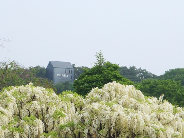 栗田美術館　外観